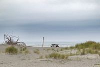 Gold Bluff Beach - Prairie Creek Redwood State Park,