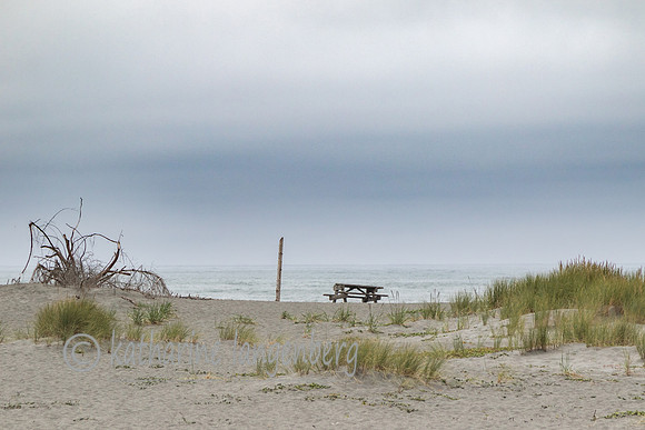 Gold Bluff Beach - Prairie Creek Redwood State Park,