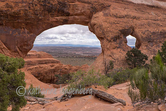 Partition Arch