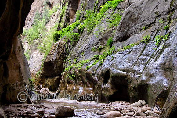 Hiking into the cayon