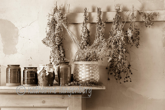 Colonial herbs, Hartwell Tavern, Massachusetts