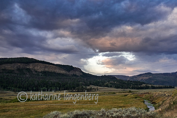 Lamar Valley, stormy dawn