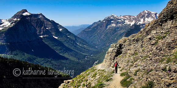 one of the premier hikes, Highline Trail, Glacier National Park, MT