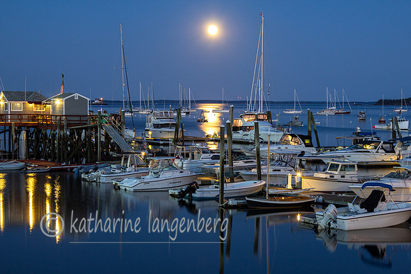 Full moon, still harbor