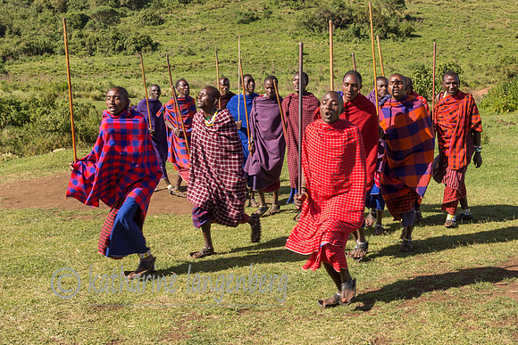 Maasai warrior dance