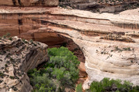 Natural Bridges National Monument, Utah