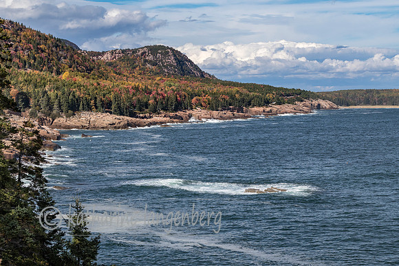 Acadia National Park rocky coastline