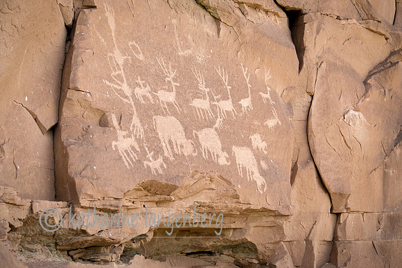 Ancient pictographs, Mesa Cedar area