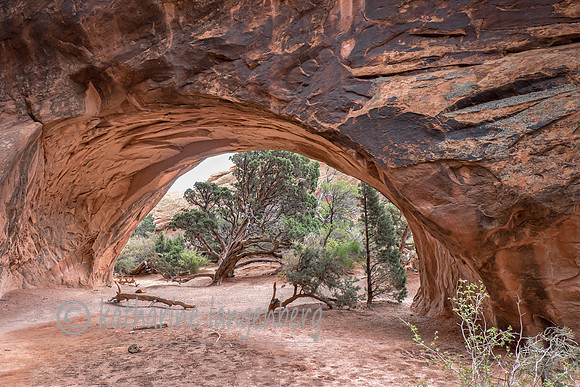 Navajo Arch