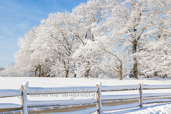 New fallen snow, Drumlin Farms, Lincoln, MA