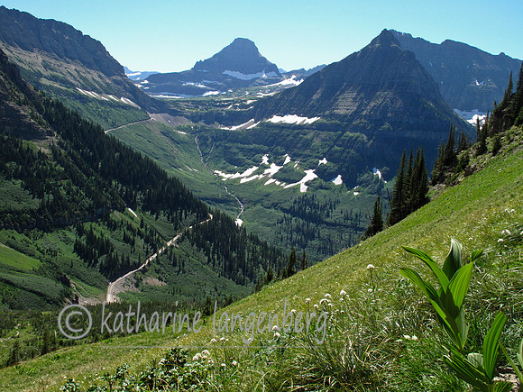 view from Highline trail, Glacier National Park, MT
