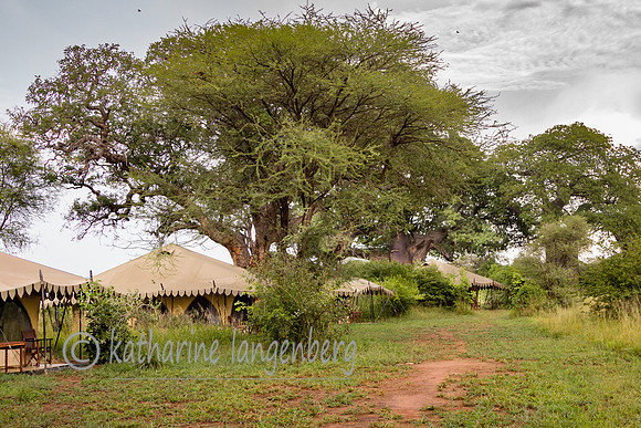 Tarangire National Park Nyumba