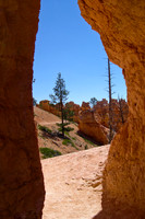 Through the arch