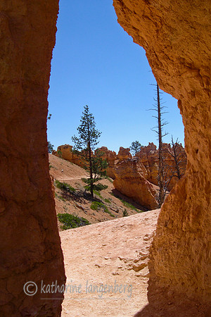 Through the arch