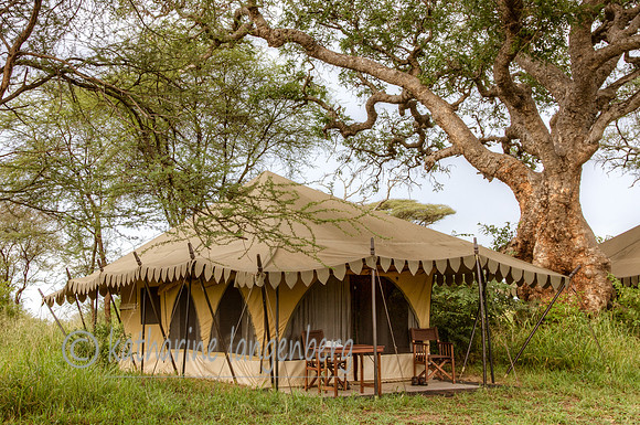 Tarangire National Park Nyumba