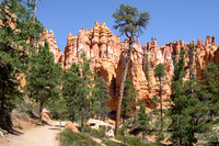 Queen Garden Trail