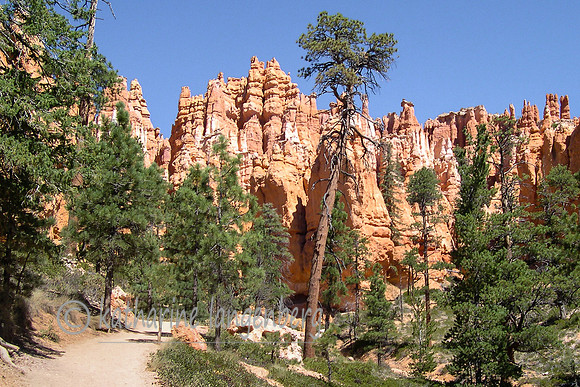 Queen Garden Trail