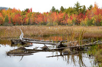 Fall beauty, ANP