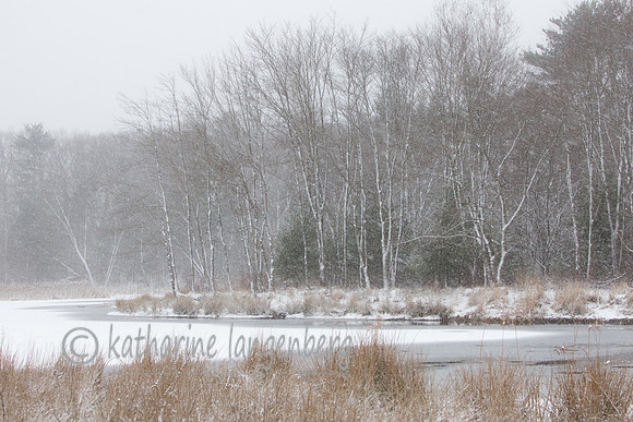 Just a dusting, Weston, MA