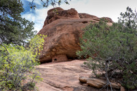 Cliff Dwelling, Mule Canyon