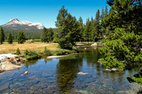 Tuolumne Meadows