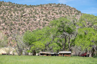Lush valley and old homestead