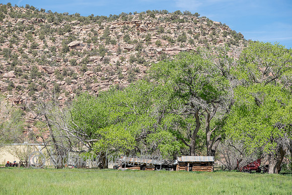Lush valley and old homestead