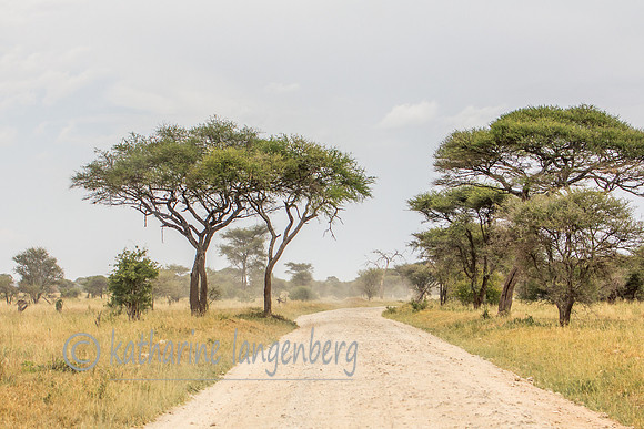 Tarangire National Park