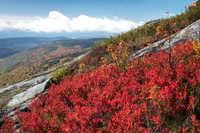 Cadillac Mountain in the fall