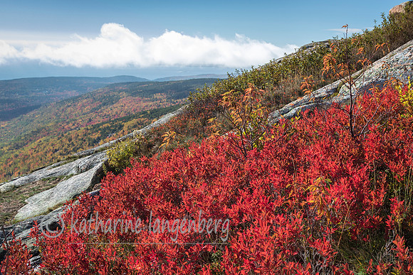 Cadillac Mountain in the fall