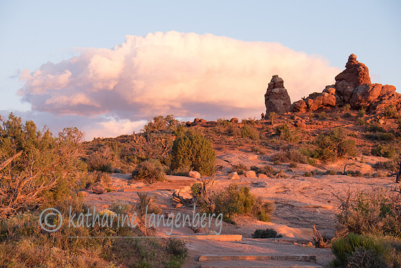 Red rocks at sunset
