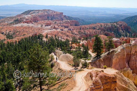 trails into the "canyon"
