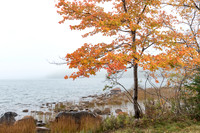 Eagle Lake, ANP