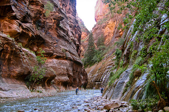 The Virgin River