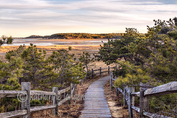Boardwalk to secret beach