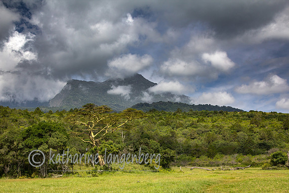 Mount Meru from Arusha National Park