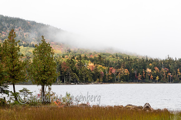 Eagle Lake in Acadia NP