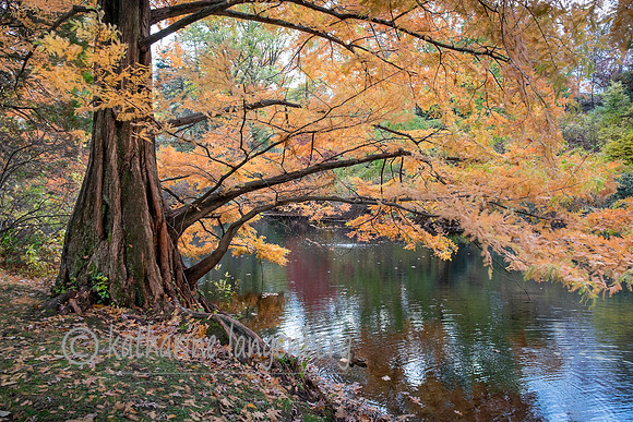 Seasons turn
