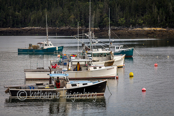 Lobster boats in a row.