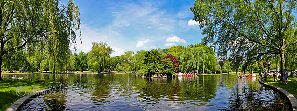 Boston Public Gardens, Swan Boat riders