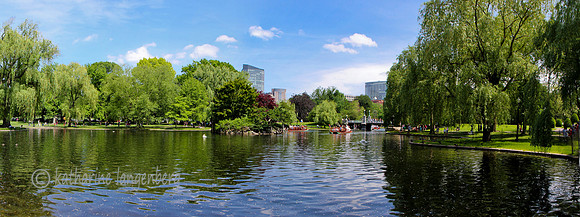 Boston Public Gardens