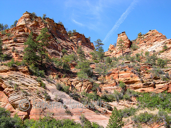 Zion cliffs