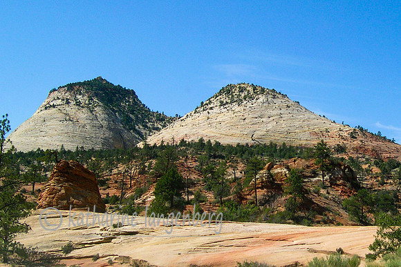 Zion scenery