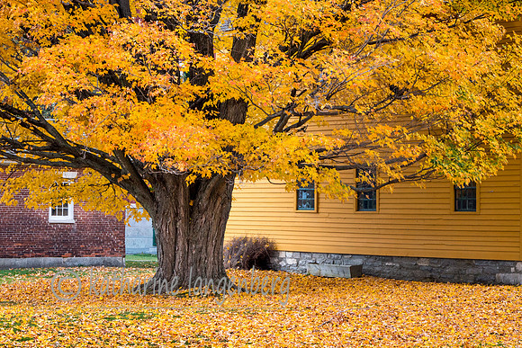 Fall at Hancock Shaker Village, MA.